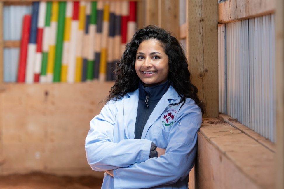 a smiling veterinarian in an indoor paddock