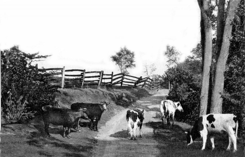 Animal Husbandry The GeoREACH Lab at UPEIThe GeoREACH Lab at UPEI